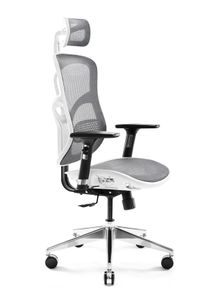 Kancelářská ergonomická židle Diablo V-Basic Executive Chair Mesh Nastavitelné područky Výškově nastavitelná, Barva: Bílo-šedá