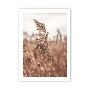 Poster - Poster ohne Rahmen - Zuckerrohr Wiese Boho - 50x70 cm - Wand Bild - Wanddeko - Wandbilder - Kunstposter - Wandposter - Bilder - Kunstdruck - Wanddekoration - Wandbild - P2XPA50x70-4709