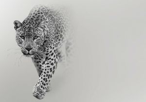 Vlies Fototapete Tiger Leopard (254x184cm - 2 Bahnen) grau Tiere Jaguar Wohnzimmer Schlafzimmer Wandtapete Modern Tapete Latexdruck UV-Beständig Geruchsfrei Hohe Auflösung Montagefertig