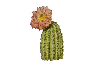 Kaktus Brosche Miniblings Blume Anstecknadel Wüste Pflanze Texas Western 4