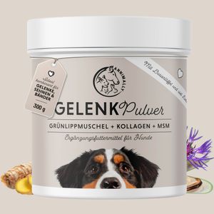 Gelenkpulver für Hunde 300 g - Grünlippmuschel, Kollagen, Glucosamin, MSM, Chondroitin, uvm.  - bei Gelenkschmerzen & Gelenkproblemen Hund