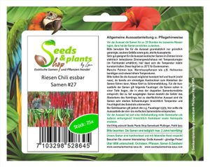 25x Riesen Chili Capsicum a. Rarität Gemüse Pflanzen - Samen#27
