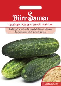 Dürr-Samen - Salatgurken Riesen Schäl Fatum - Saatgut - 4162