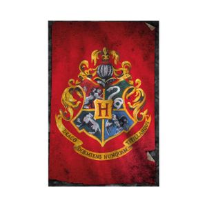 Harry Potter - Poster, Hogwarts TA356 (Einheitsgröße) (Rot)