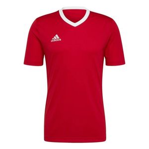 adidas Entrada 22 Trikot Herren tepore S