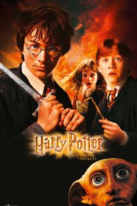 Harry Potter und die Kammer des Schreckens Poster 91,5 x 61 cm