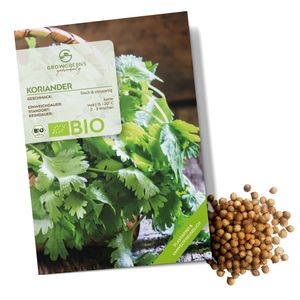 Koriandersamen - Küchenkräuter Saatgut aus biologischem Anbau ideal für den heimischen Kräutergarten, Balkon & Garten (35 Korn)