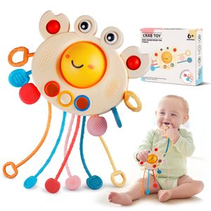 Baby Sensorisches Spielzeug, Montessori Spielzeug, Silikon Schnur Ziehen Sensorisches Spielzeug, Reise-Kleinkind-Spielzeug, Lernspiele für Babys und Kleinkinder