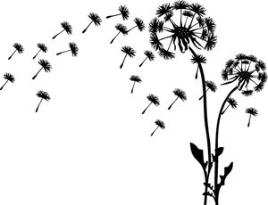 PUSTEBLUME mit Pollenflug  - LÖWENZAHN -Wandaufkleber WANDTATTOO - Blume - Blumendarstellung - Pusteblumen