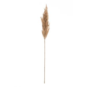 Větvička pampové trávy 90cm beige