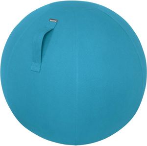 Leitz Ergo Cosy Blue Indoor Round