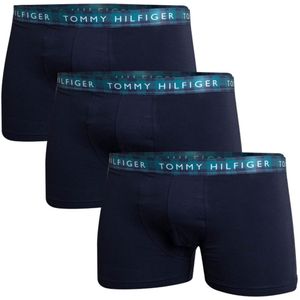 Tommy Hilfiger Majtki UM0UM027020TT