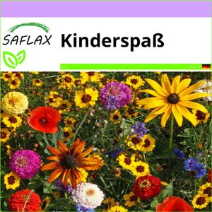 SAFLAX - Wildblumen: Kinderspaß - 1000 Samen - 11 Sorten