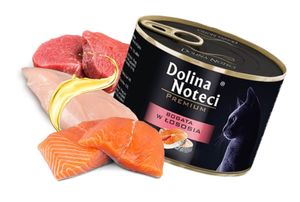 DOLINA NOTECI PREMIUM mokra karma dla kota bogata w łososia 185g DOLINA NOTECI PREMIUM mokra karma dla kota bogata w łososia 185g