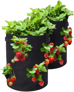 Pflanzsack 2 x 43 L Erdbeer Pflanzsack aus Vliesstoff mit Tragegriff und 8 Seitentaschen, Pflanzsack für Balkonpflanzen und Gemüse 35 x 45 cm (2 x 10 Gallonen)