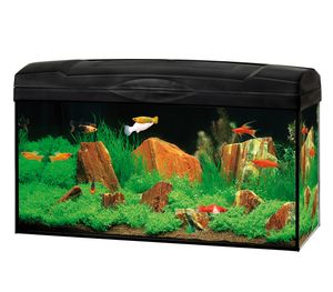Dehner Gute Wahl Aquarium Starterset Scout mit LED-Beleuchtung, ca. 60 x 30 x 30 cm, 54 l, Glas/Kunststoff, transparent/schwarz