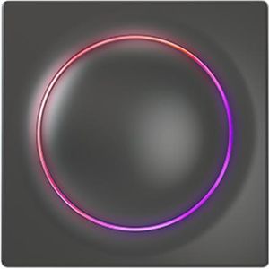 Fibaro Walli Switch anthrazit (FGWDSEU-221-8)