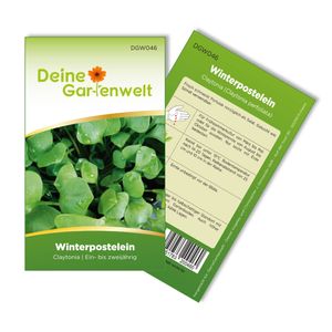 Winterpostelein Winterportulak Samen - Claytonia perfoliata - Portulaksamen - Gemüsesamen - Saatgut für 200 Pflanzen