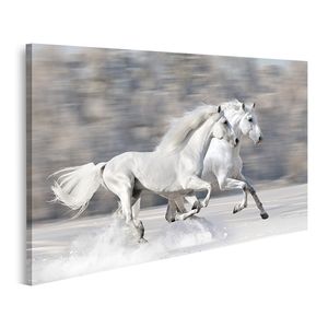 Pferde Bilder günstig kaufen online