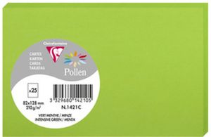 Pollen by Clairefontaine Karte 82 x 128 mm minze 210 g/qm 25 Karten