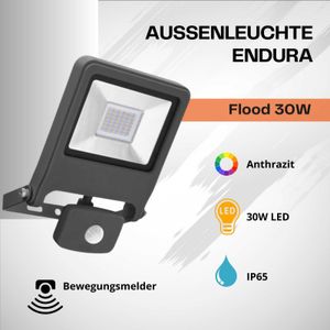 Ledvance LED Außenleuchte Endura Flood Sensor Warm White dunkelgrau