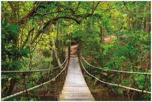 Wallario Poster - Hängebrücke im Urwald  grüner Dschungel, Kunstdruck Größe: 100 x 150 cm