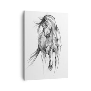 Bild auf Leinwand - Leinwandbild - Einteilig - Pferd Galopp Tier - 50x70cm - Wand Bild - Wanddeko - Wandbilder - Leinwanddruck - Kunstdruck - Wanddekoration - Leinwand bilder - Wandbild - PA50x70-5080