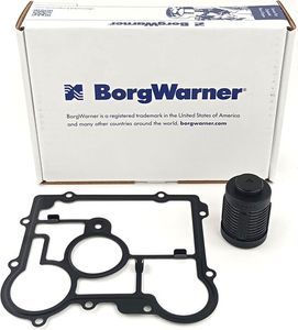 BorgWarner DS2006273 Ölfilter Dichtung Ausgleichsgetriebe OPEL Insignia hinten