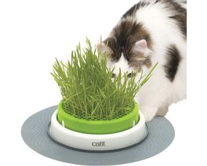 CATIT Senses 2.0 Grastopf - Grass Planter