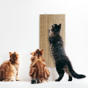 Kratzbrett für Katzen Sisal Krallenpflege für Tiere, 28 x 52 cm