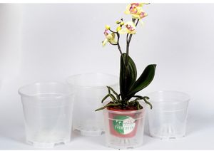 Orchideentopf 12cm transparent  transparent