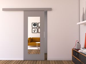 MINIO Schiebetüren mit Spiegel CLEAN I 76 cm Zimmertüren | Grau