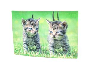 3 D Ansichtskarte Katzen, Katze Postkarte Wackelkarte Hologrammkarte Tiere Kätzchen