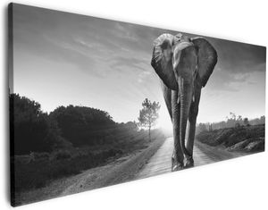 Wallario Premium Leinwandbild Elefant bei Sonnenaufgang in Afrika schwarzweiß in Größe 60 x 150 cm