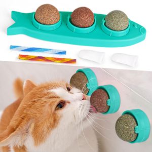 Katzenminze Balls für Katzen, Drehbares Leckerli Spielzeug für Katzen, Natürliches Matatabi Zahnreinigung Dental Kätzchen Kauspielzeug, Katzenminze Wandspielzeug für Katzenkätzchen,Blau