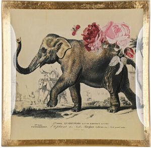 Gift Company Glasteller Love Plates Elefant S, Dekoteller, Schale, Glas, Weiß, Gold, 10 x 10 cm, 1043403020