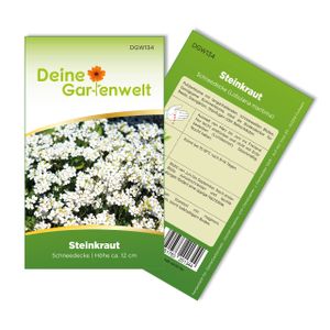 Steinkraut Duftsteinrich Schneedecke Samen - Lobularia maritima - Steinkrautsamen - Blumensamen - Saatgut für 250 Pflanzen