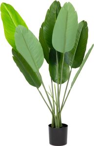 HOMLA TROPICAL ZONE Sztuczny bananowiec 90 cm