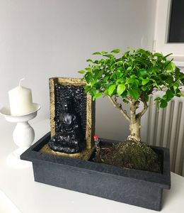 Bonsai-Baum mit dekorativem Buddha-Wasserfall;1 Stück Zimmerpflanze