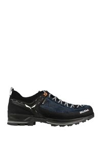 Trekové nohavice Salewa Mtn Trainer 2 Gtx-Blue Seal-Black UK_9_43