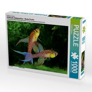 Calvendo Ein Motiv aus dem Kalender Killifische Südamerikas - Bunte Fische 1000 Teile Puzzle quer 640x480mm, Pohlmann Rudolf; 7448690