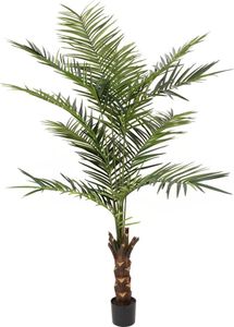 EUROPALMS Kentia Palme, Kunstpflanze, 240cm