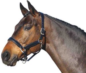 Euroriding Halfter Leder British Line