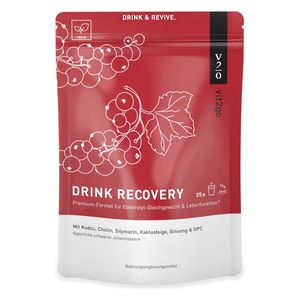 Vit2go DRINK RECOVERY 250g (25 Portionen) Hangover Kit für Nach der Party: Elektrolyt Pulver zum Trinken, Vitamin Getränk