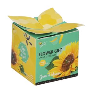 Geschenkbox Sonnenblume | Anzuchtsets von Buzzy Gifts