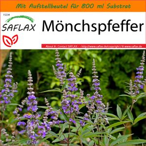 SAFLAX - Garden in the Bag - Heilpflanzen - Mönchspfeffer - 30 Samen - Mit Anzuchtsubstrat im praktischen, selbst aufstellenden Beutel - Vitex agnus-castus