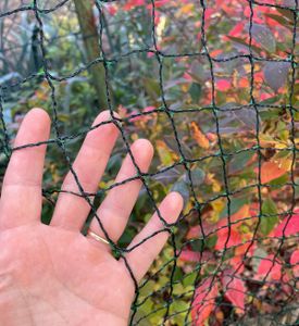 Gartennetz Teichnetz 10 x 15m Vogelschutznetz Laubschutznetz Obstbaumnetz Schutznetz sehr stark 20 g/m2