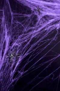 Halloween Spinnennetz mit 2 Spinnen, 60g PartyDeco Farbe: Lila