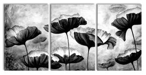 Mohnblumen gezeichnet, Monochrome, XXL Leinwandbild in Übergröße 240x120cm Gesamtmaß 3 teilig / Wandbild / Kunstdruck
