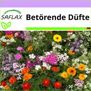 SAFLAX - Wildblumen: Betörende Düfte - 1000 Samen - 18 Sorten